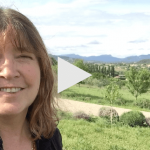 Screen Shot 2016-05-12 at 19